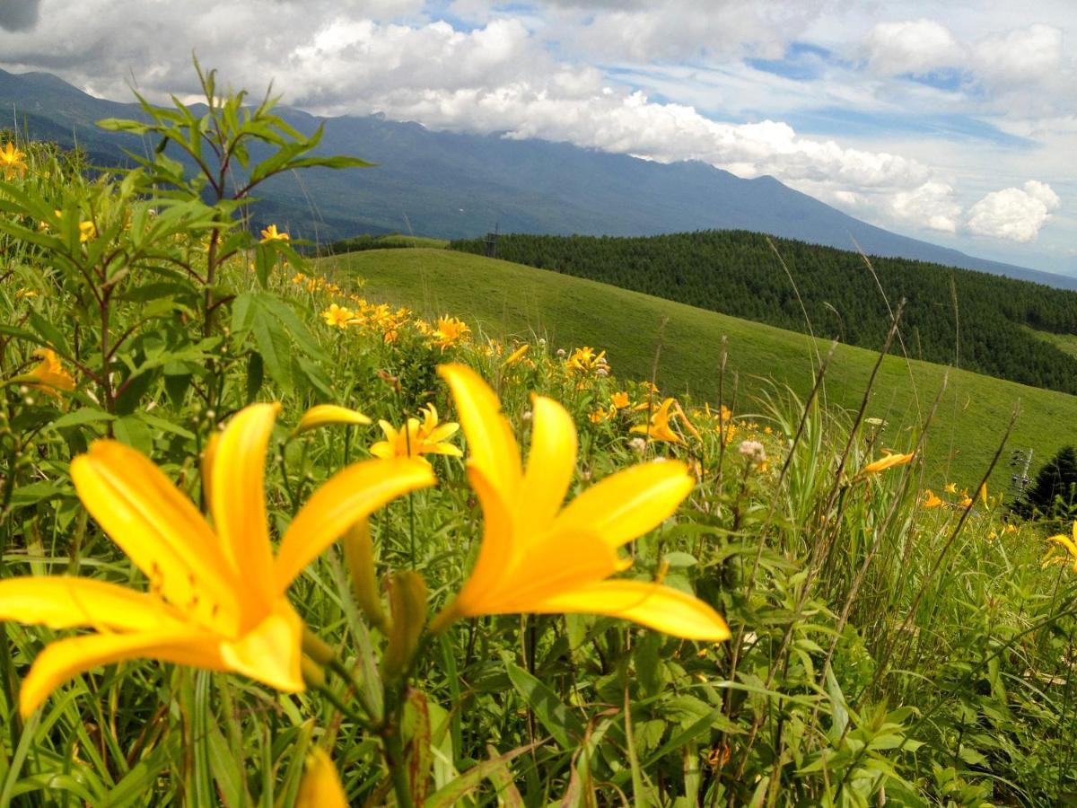 Pension Wildflowers Tatešina Exteriér fotografie