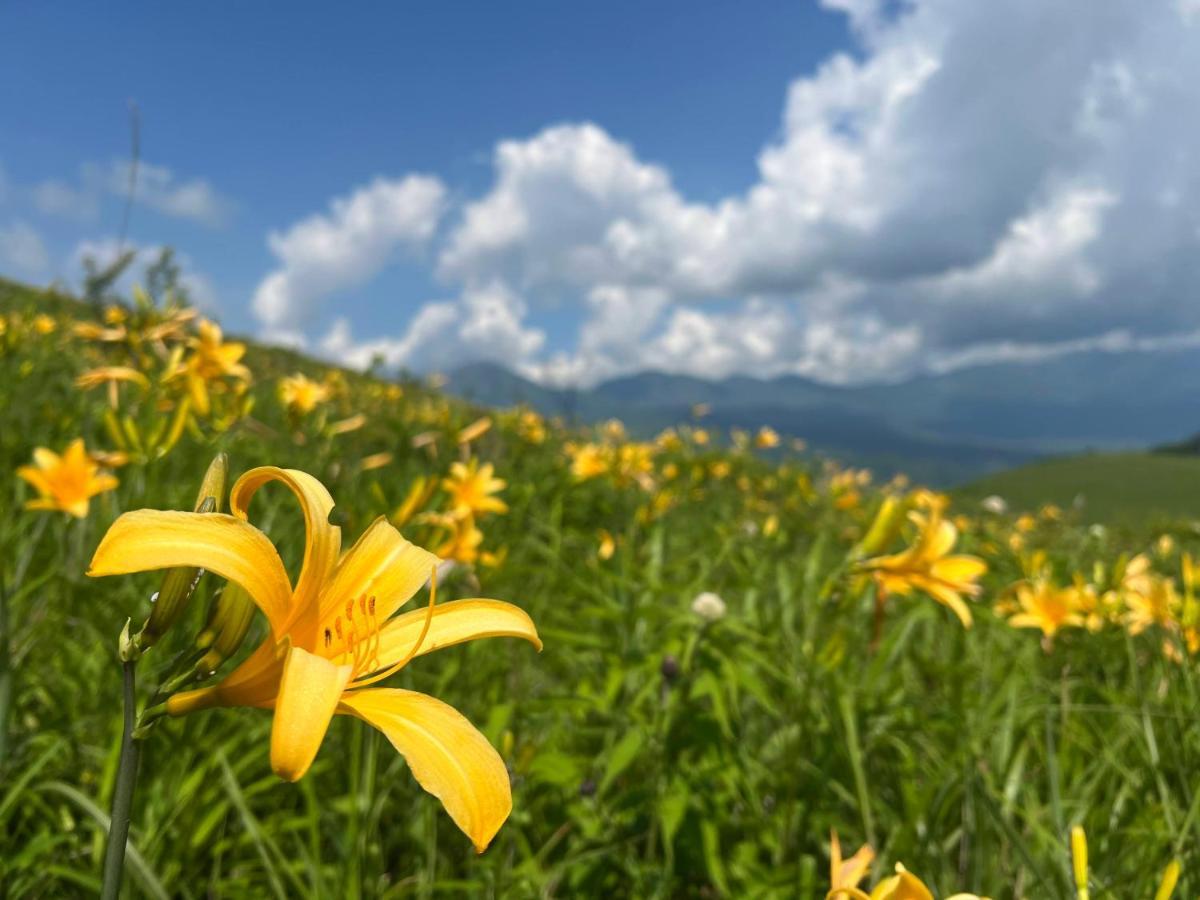 Pension Wildflowers Tatešina Exteriér fotografie
