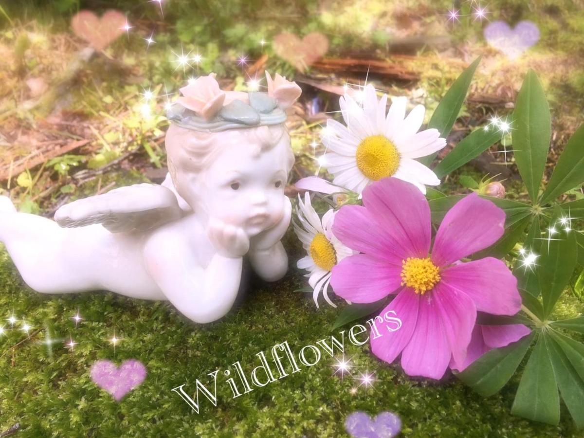 Pension Wildflowers Tatešina Exteriér fotografie
